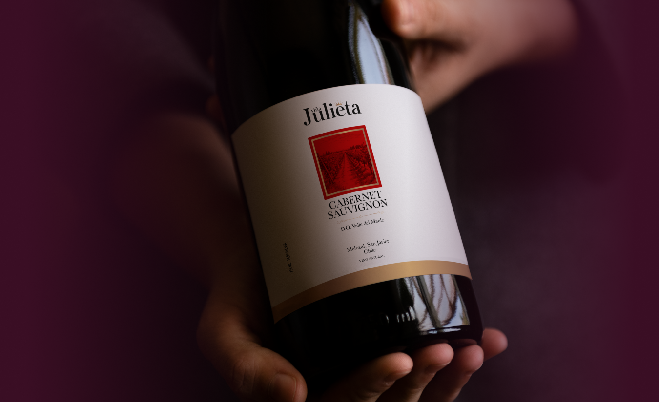 Botellas de Cabernet Sauvignon Viña Julieta